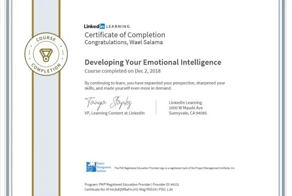 Developing-Your-Emotional-Intelligence-.jpg