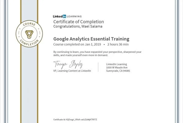 Google-Analytics-Essential-Training.jpg